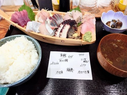 マルソウダの釣果