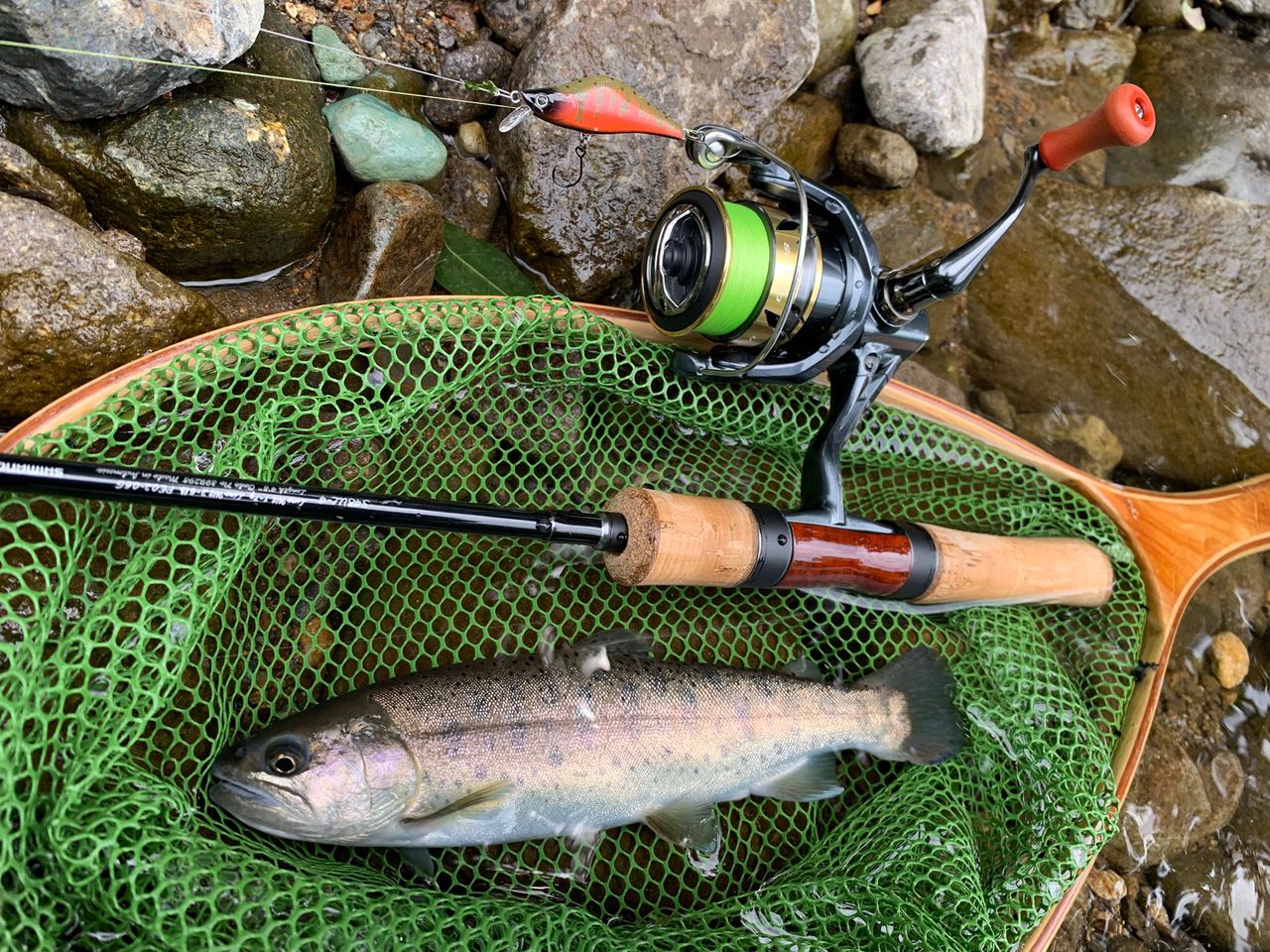 SHIMANO 21カーディフNX S48UL-4の最安値・インプレ・釣果 | 本音の