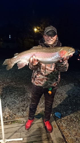 ニジマスの釣果