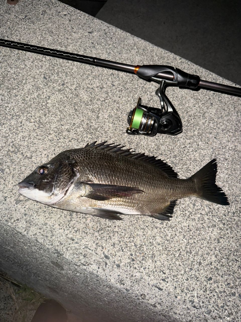 SHIMANO 22ソアレ SS S76L-Sの最安値・インプレ・釣果 | 本音の口コミ