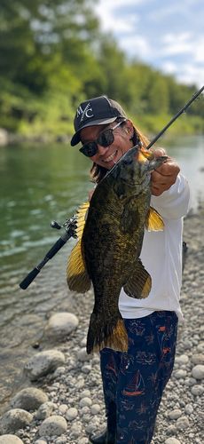 スモールマウスバスの釣果