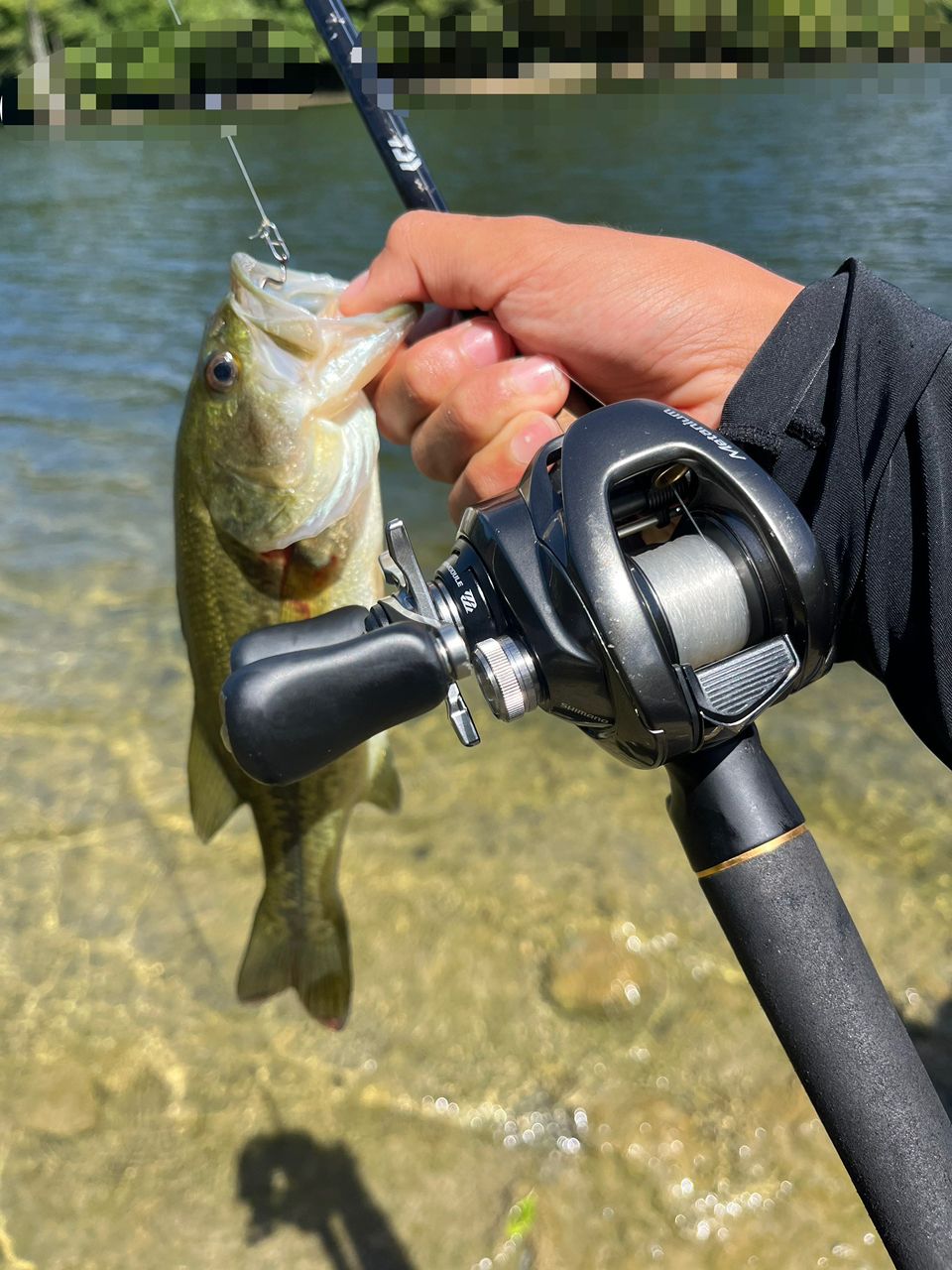 SHIMANO 20ゾディアス 268ML-2の最安値・インプレ・釣果 | 本音の