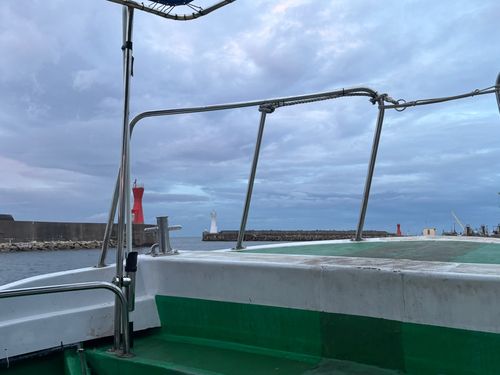 タコの釣果