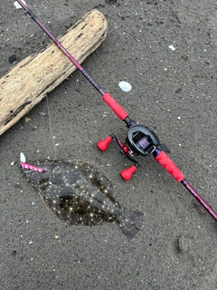 ソゲの釣果