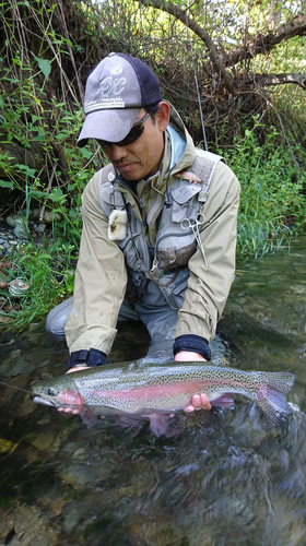 ニジマスの釣果