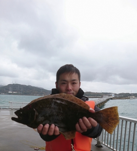 ヒラメの釣果