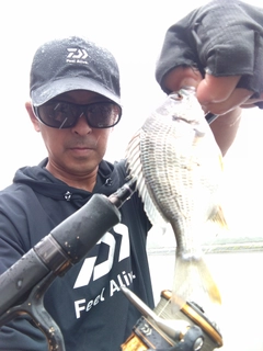 キビレの釣果