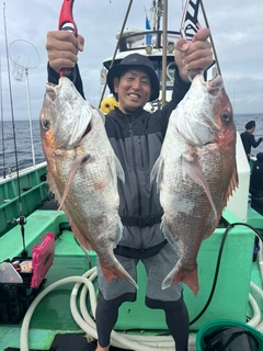 マダイの釣果