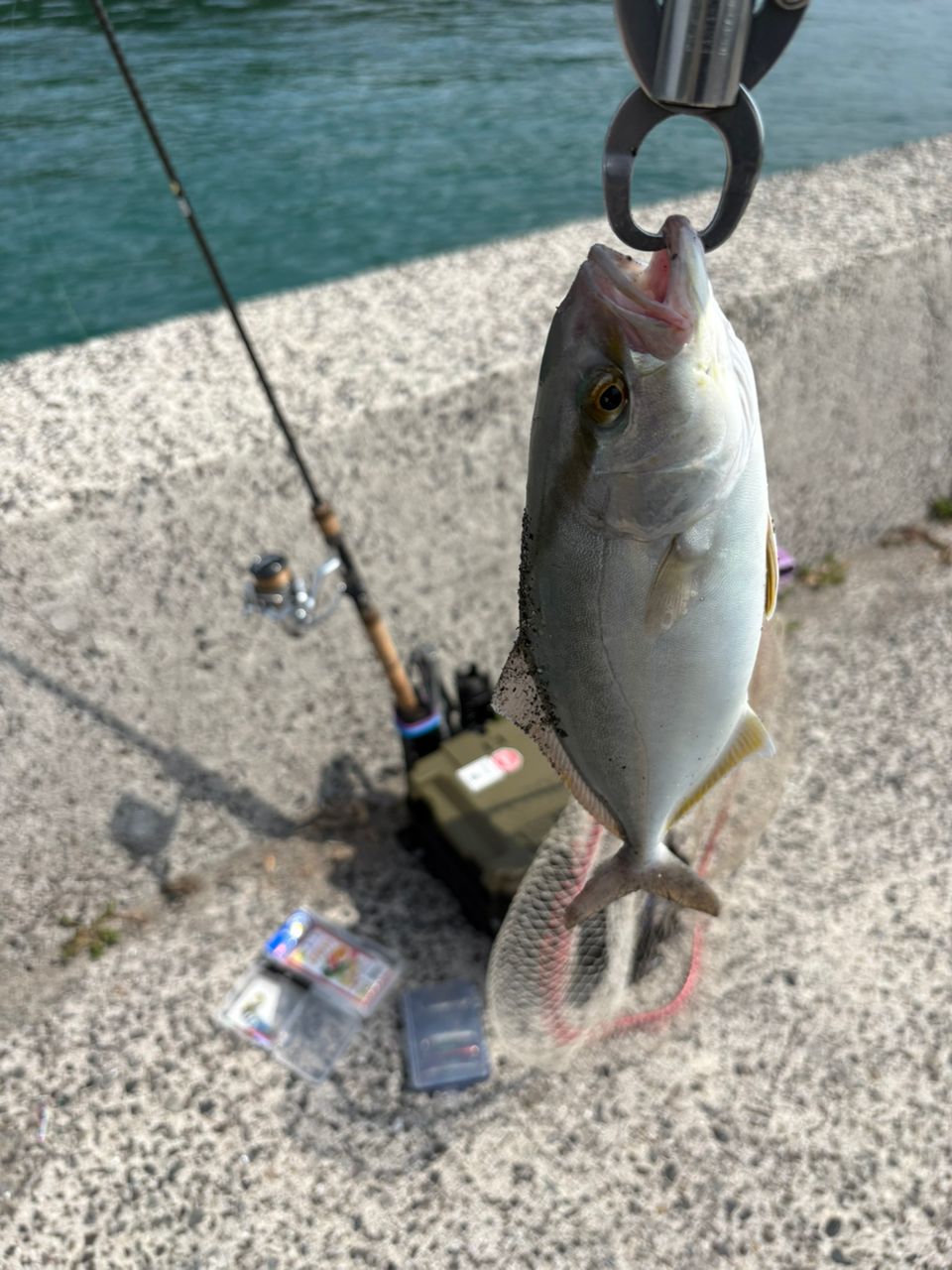 SHIMANO 19ストラディック 3000MHGの最安値・インプレ・釣果 | 本音の