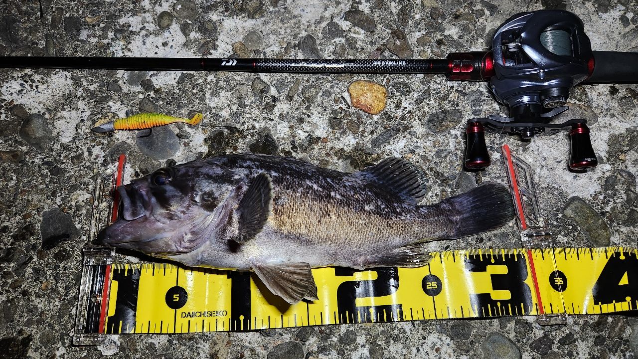 DAIWA 21HRF® (ハードロックフィッシュ) エア 610ML/MB・Nの最安値