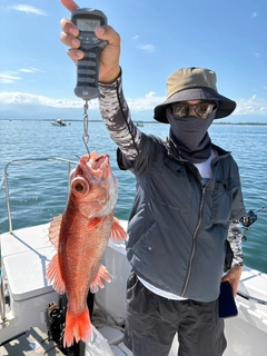 アカムツの釣果
