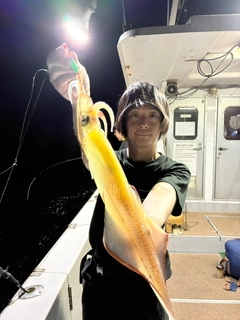 ケンサキイカの釣果