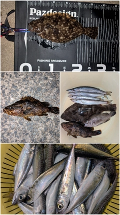 釣果