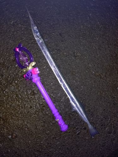 ダツの釣果