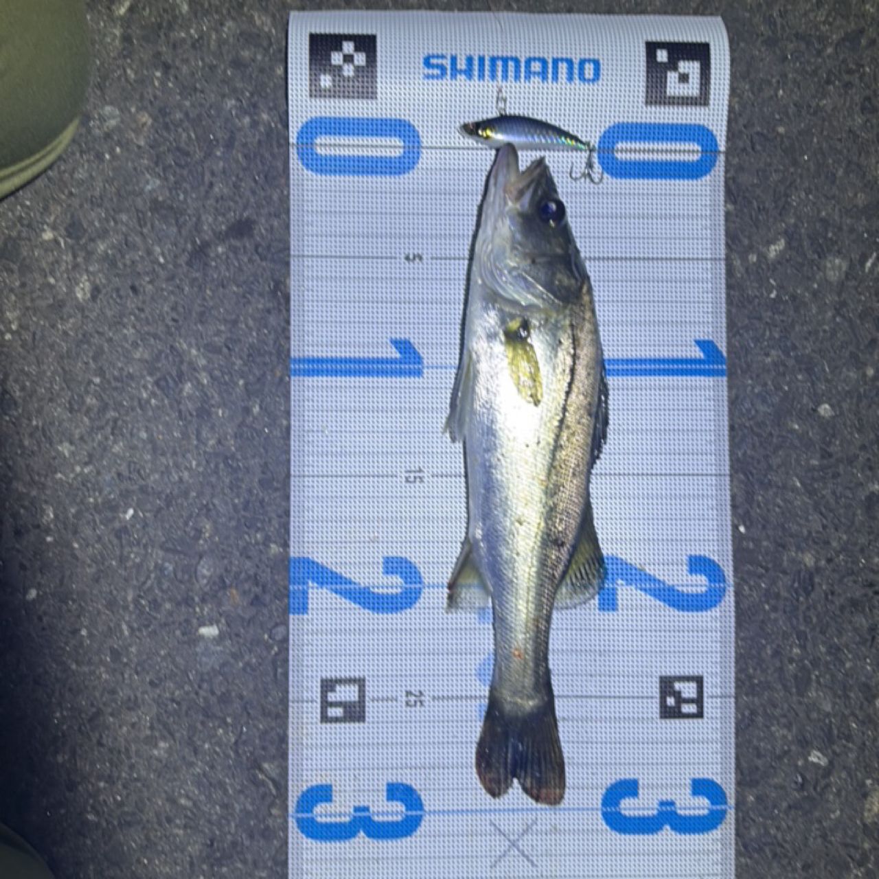 SHIMANO 23ディアルーナ S90Lの最安値・インプレ・釣果 | 本音の口コミ