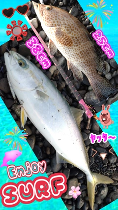 イナダの釣果