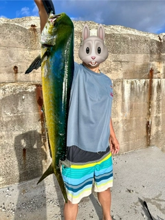 シイラの釣果