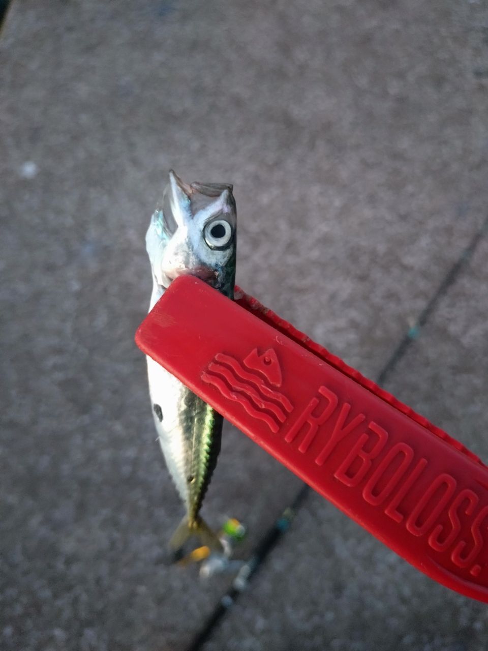 SHIMANO 23ルアーマチック（ソルトルアー推奨モデル） S76MLの最安値