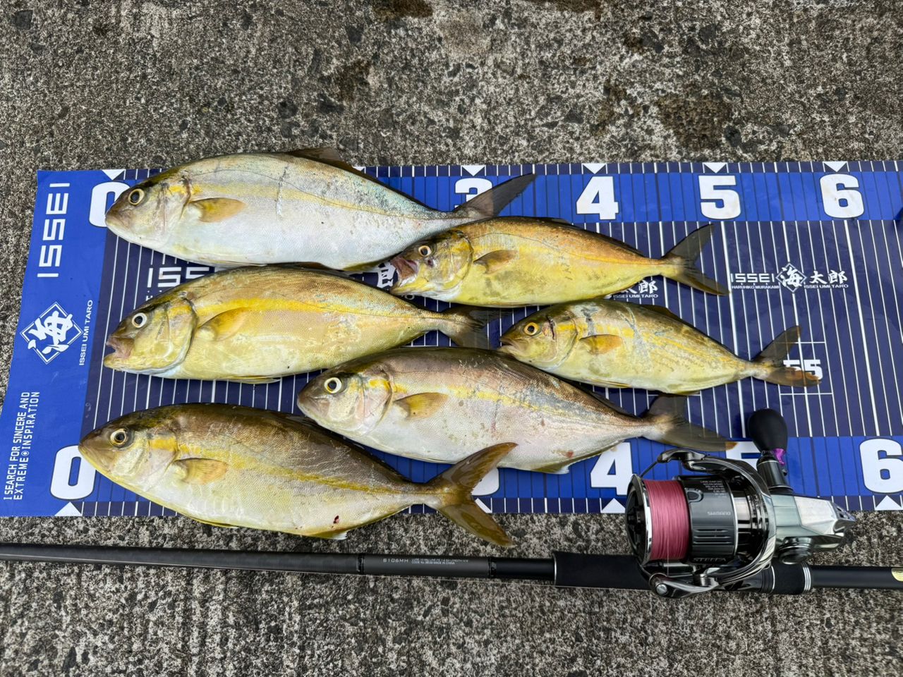 18ディアルーナ　S106MH SHIMANO 18ディアルーナ S106MH 【公式通販】