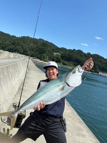 ブリの釣果
