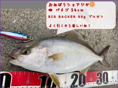 ショッコの釣果