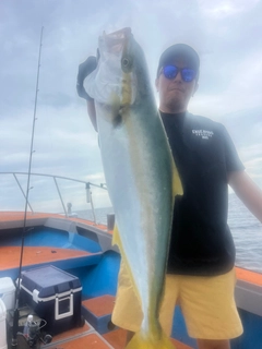 ヒラマサの釣果