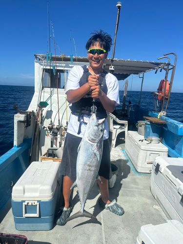 イソマグロの釣果