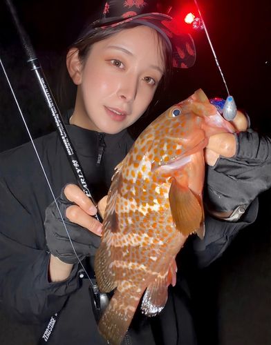 アカハタの釣果