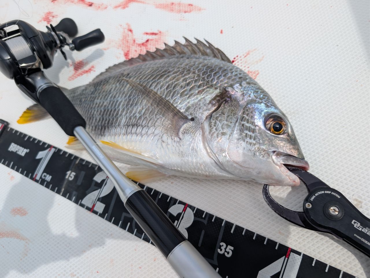SHIMANO 22エクスセンス DC XG RIGHTの最安値・インプレ・釣果 | 本音