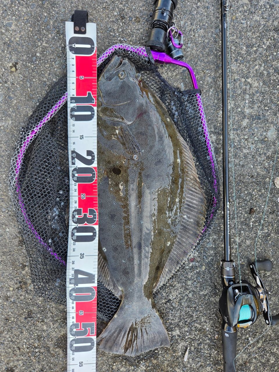 DAIWA 22シルバーウルフ SV TW PE スペシャル 1000XHの最安値
