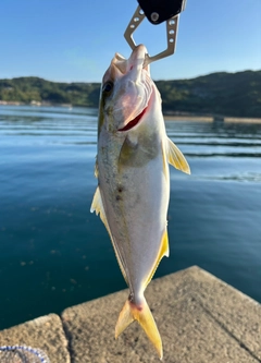 ネリゴの釣果