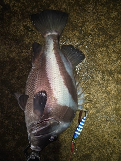 釣果