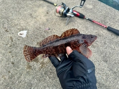 釣果