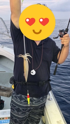シロイカの釣果