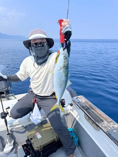 メジロの釣果