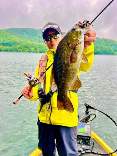 スモールマウスバスの釣果