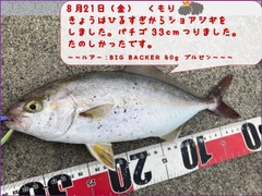 ショッコの釣果