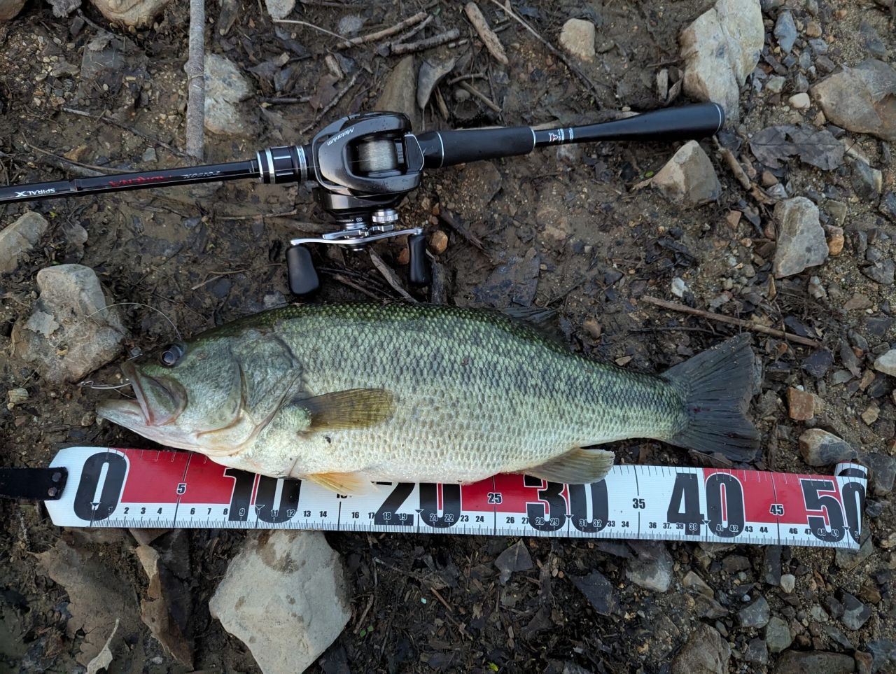 SHIMANO 18ポイズン アドレナ 1610M-2の最安値・インプレ・釣果 | 本音