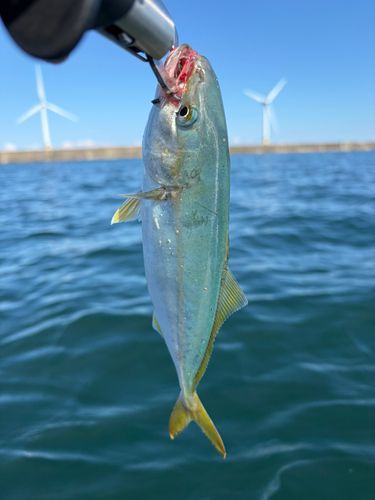 釣果