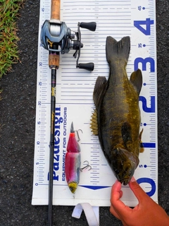 スモールマウスバスの釣果