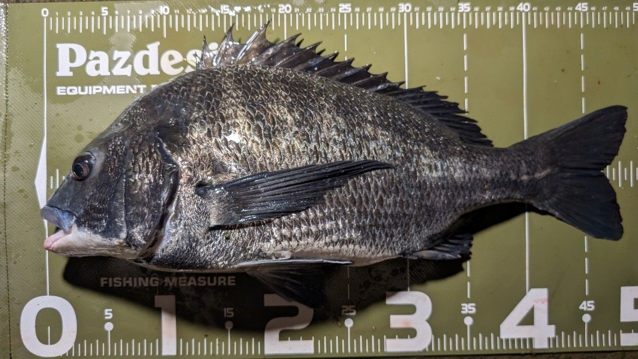 SHIMANO 22エクスセンス ∞ (インフィニティ) S96Mの最安値・インプレ