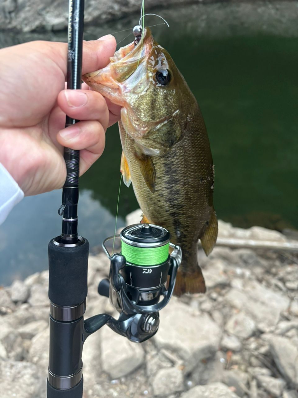 DAIWA 18ハートランド 722LRS-21の最安値・インプレ・釣果 | 本音の