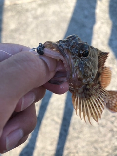 釣果