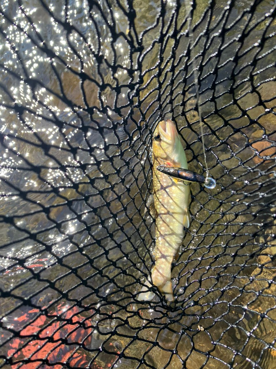 Megabass グレートハンティング GH77-2MLSの最安値・インプレ・釣果