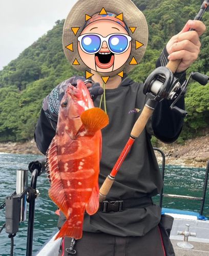アカハタの釣果