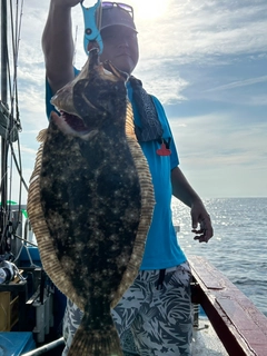 ヒラメの釣果