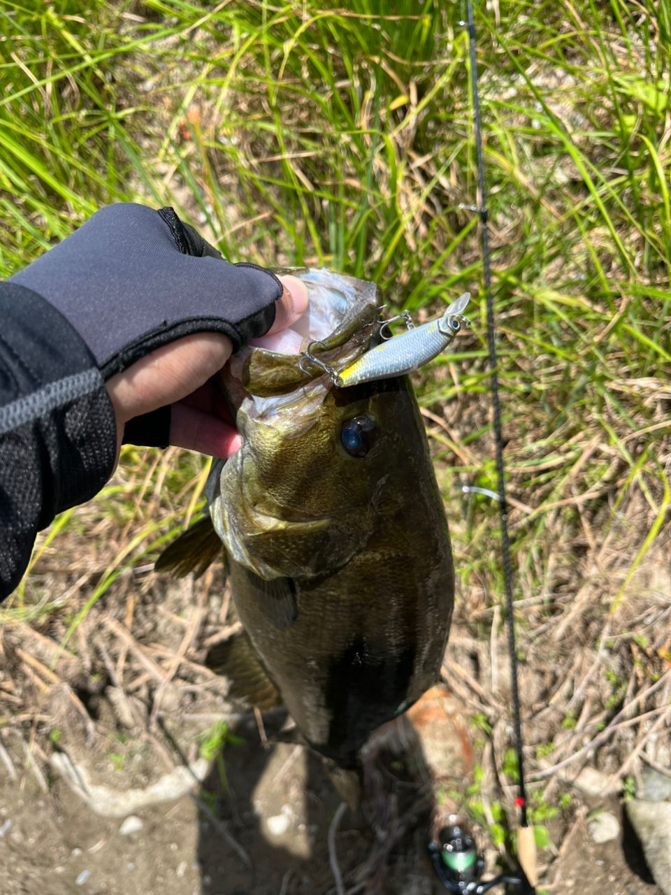 SHIMANO 22エクスプライド 266Lの最安値・インプレ・釣果 | 本音の