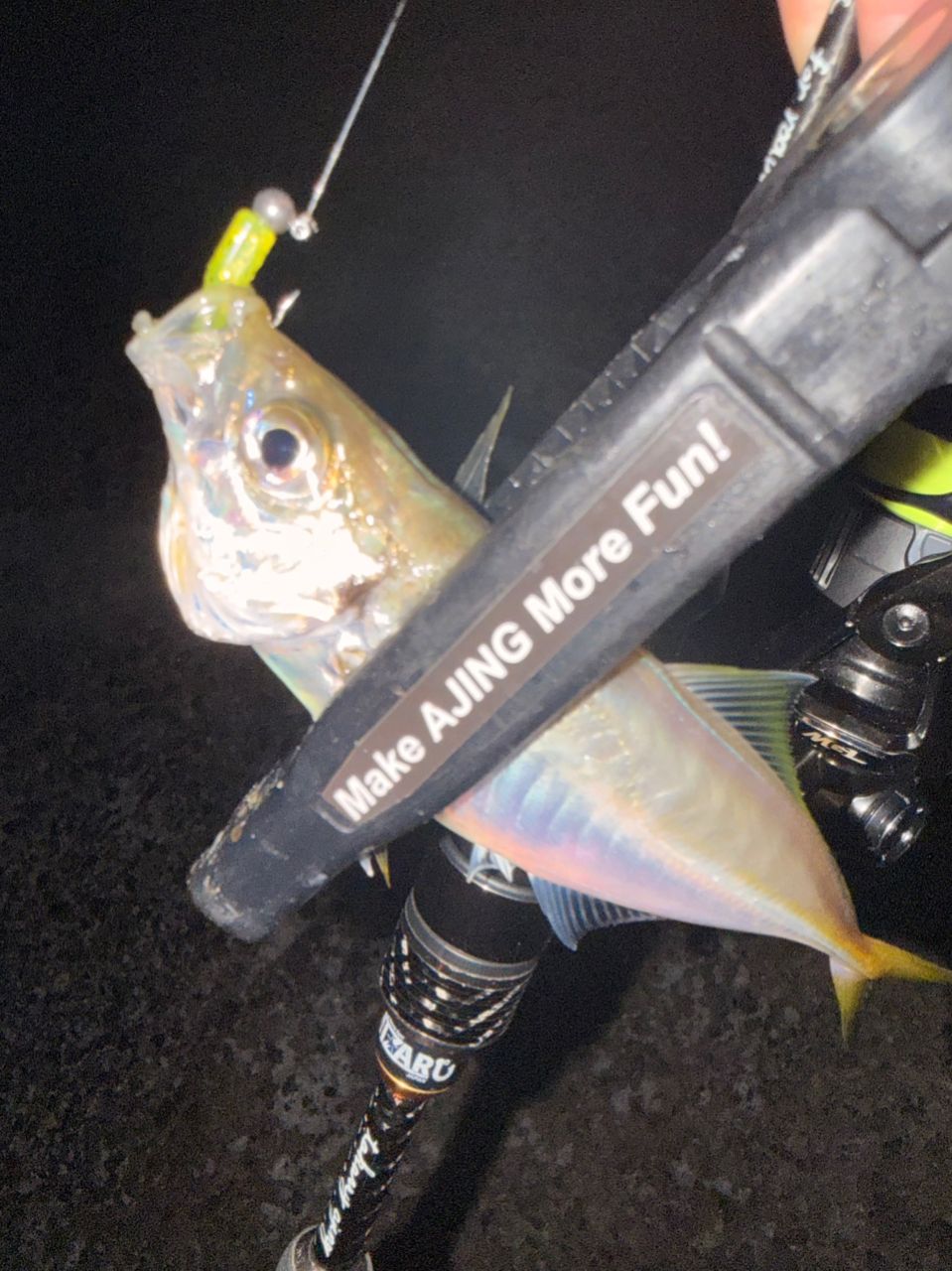 SHIMANO 19ヴァンキッシュ 1000SSSPGの最安値・インプレ・釣果 | 本音