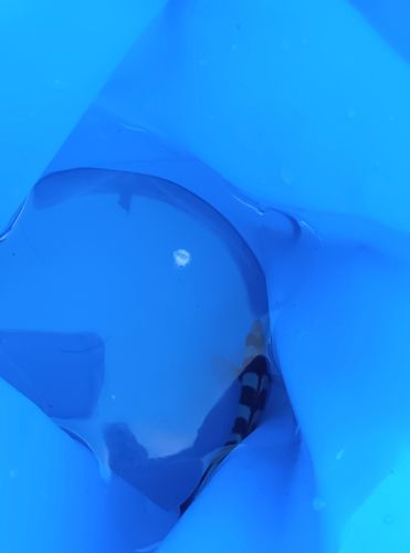サンバソウの釣果