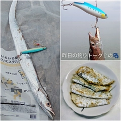 タチウオの釣果